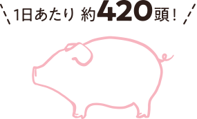 1日あたり 約420頭！